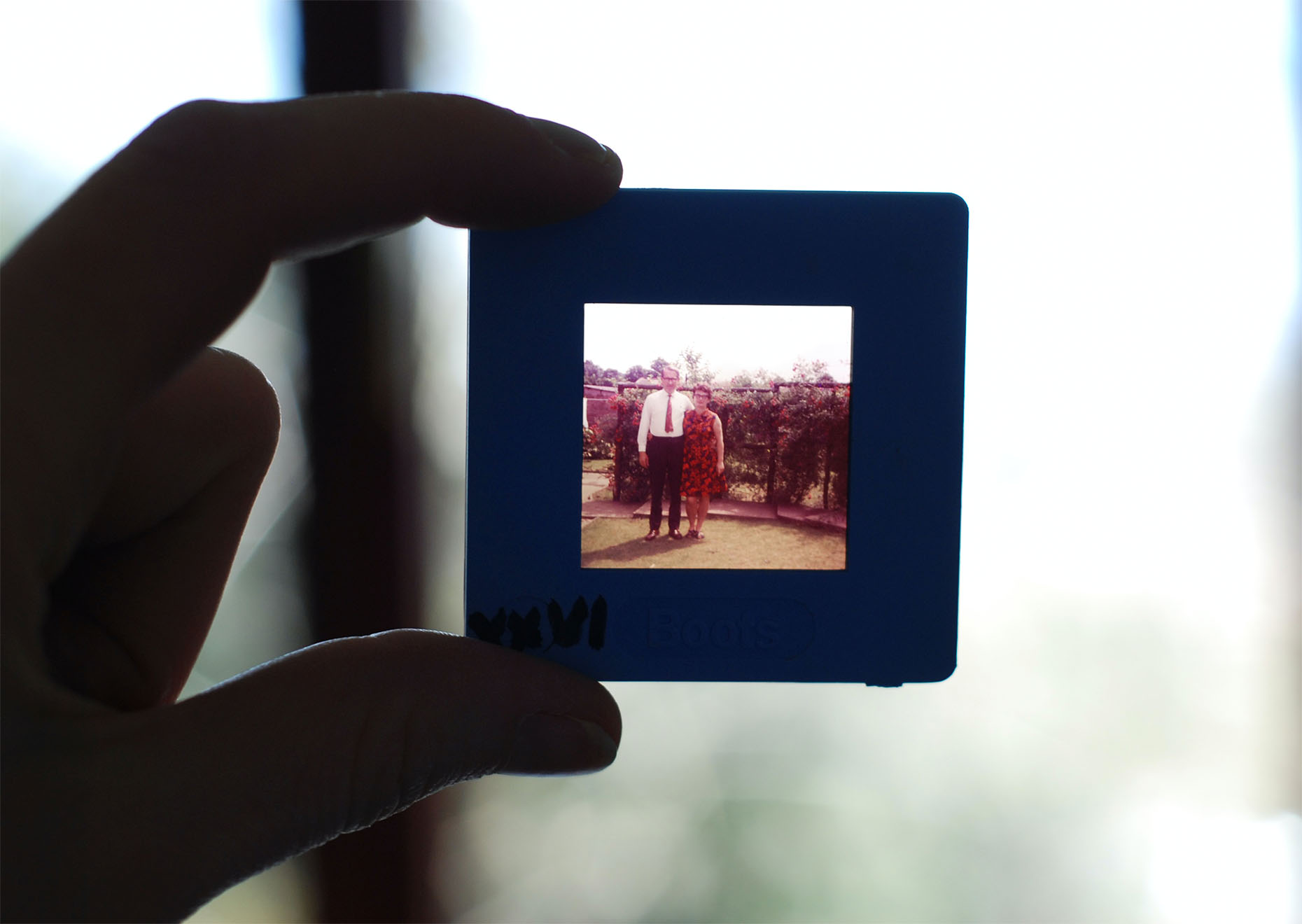 photo-negative-being-held-up-to-the-light