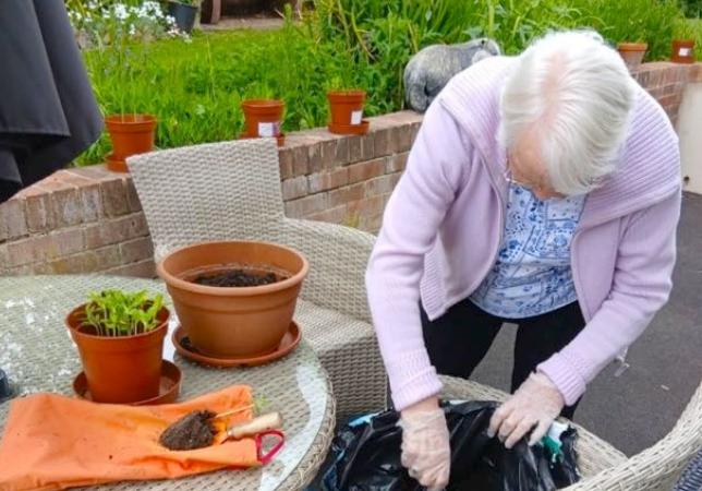 resident potting plants